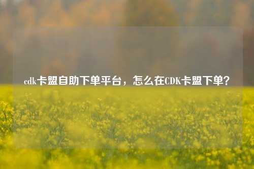 cdk卡盟自助下单平台，怎么在CDK卡盟下单？
