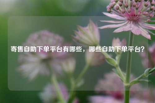 寄售自助下单平台有哪些，哪些自助下单平台？