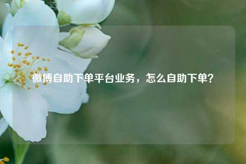 微博自助下单平台业务，怎么自助下单？