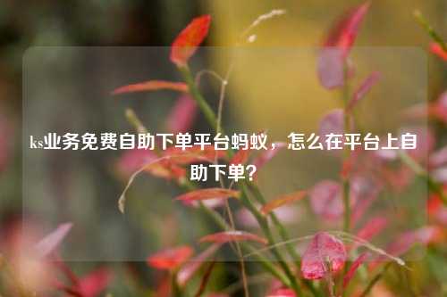 ks业务免费自助下单平台蚂蚁，怎么在平台上自助下单？