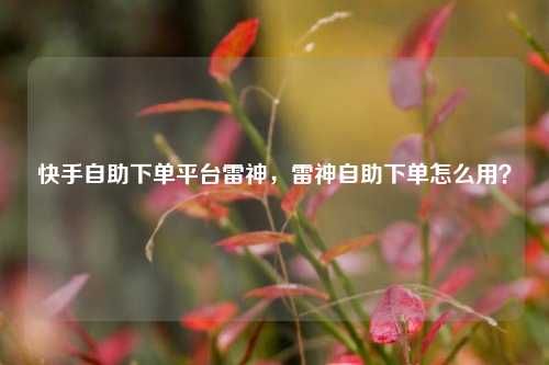 快手自助下单平台雷神，雷神自助下单怎么用？