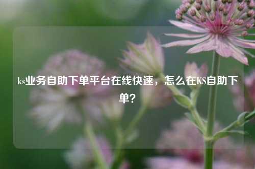 ks业务自助下单平台在线快速，怎么在KS自助下单？