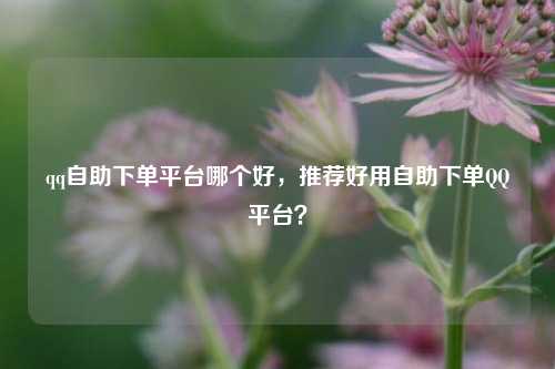 qq自助下单平台哪个好，推荐好用自助下单QQ平台？