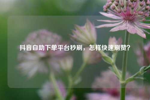 抖音自助下单平台秒刷，怎样快速刷赞？