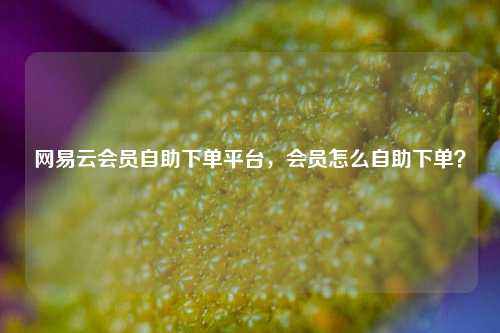 网易云会员自助下单平台，会员怎么自助下单？
