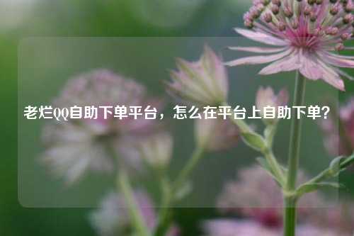 老烂QQ自助下单平台，怎么在平台上自助下单？