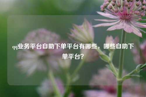 qq业务平台自助下单平台有哪些，哪些自助下单平台？