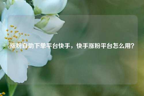 涨粉自助下单平台快手，快手涨粉平台怎么用？