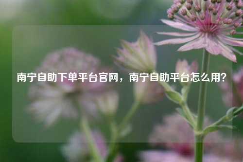 南宁自助下单平台官网，南宁自助平台怎么用？