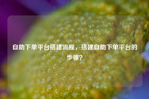 自助下单平台搭建流程，搭建自助下单平台的步骤？