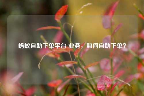蚂蚁自助下单平台 业务，如何自助下单？