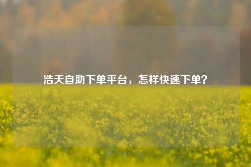 浩天自助下单平台，怎样快速下单？