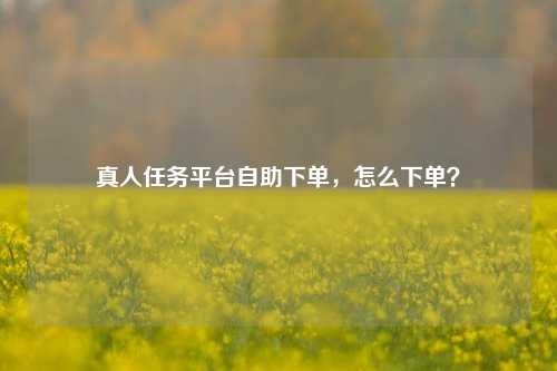 真人任务平台自助下单，怎么下单？