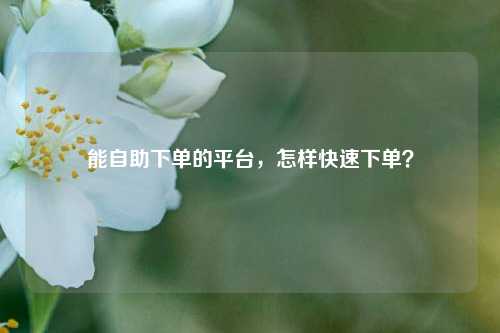 能自助下单的平台，怎样快速下单？