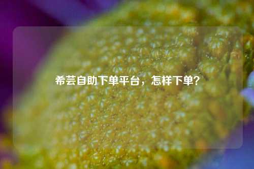 希芸自助下单平台，怎样下单？